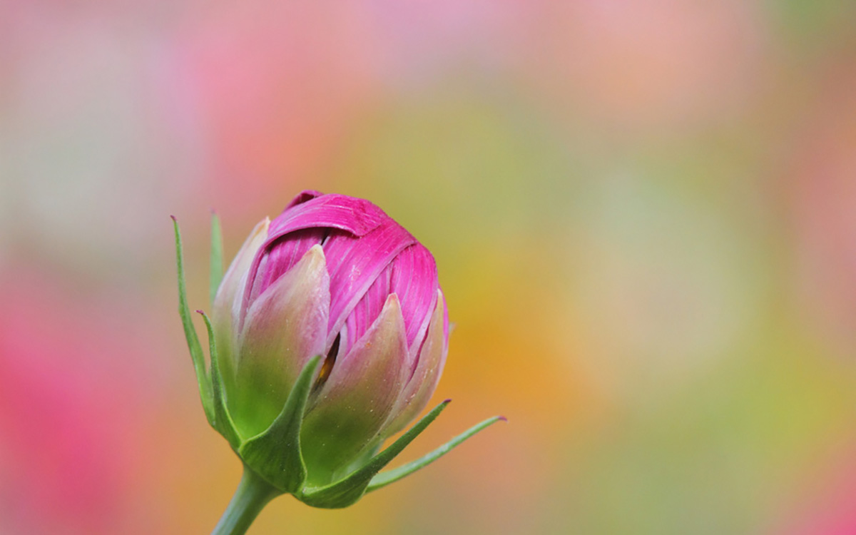 日本語の国産CMSです。編集・更新が簡単に行えます。